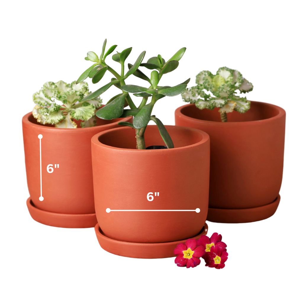 Sage Terracotta Planters (Set of 4)