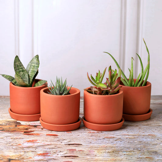 Sage Terracotta Planters (Set of 4)