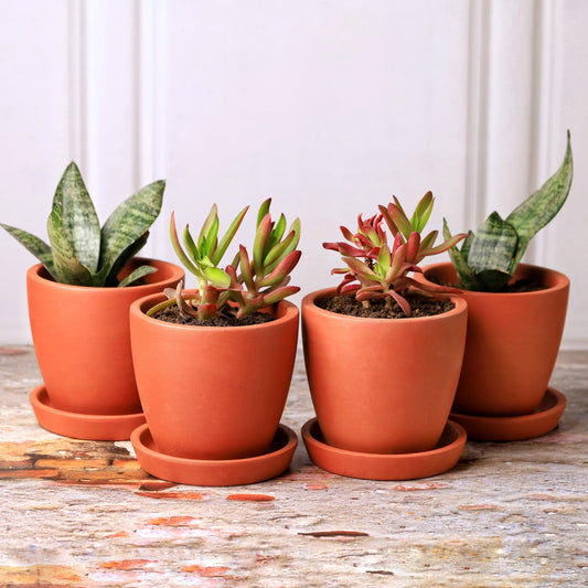 Kullad Terracotta Planters (Set of 4)
