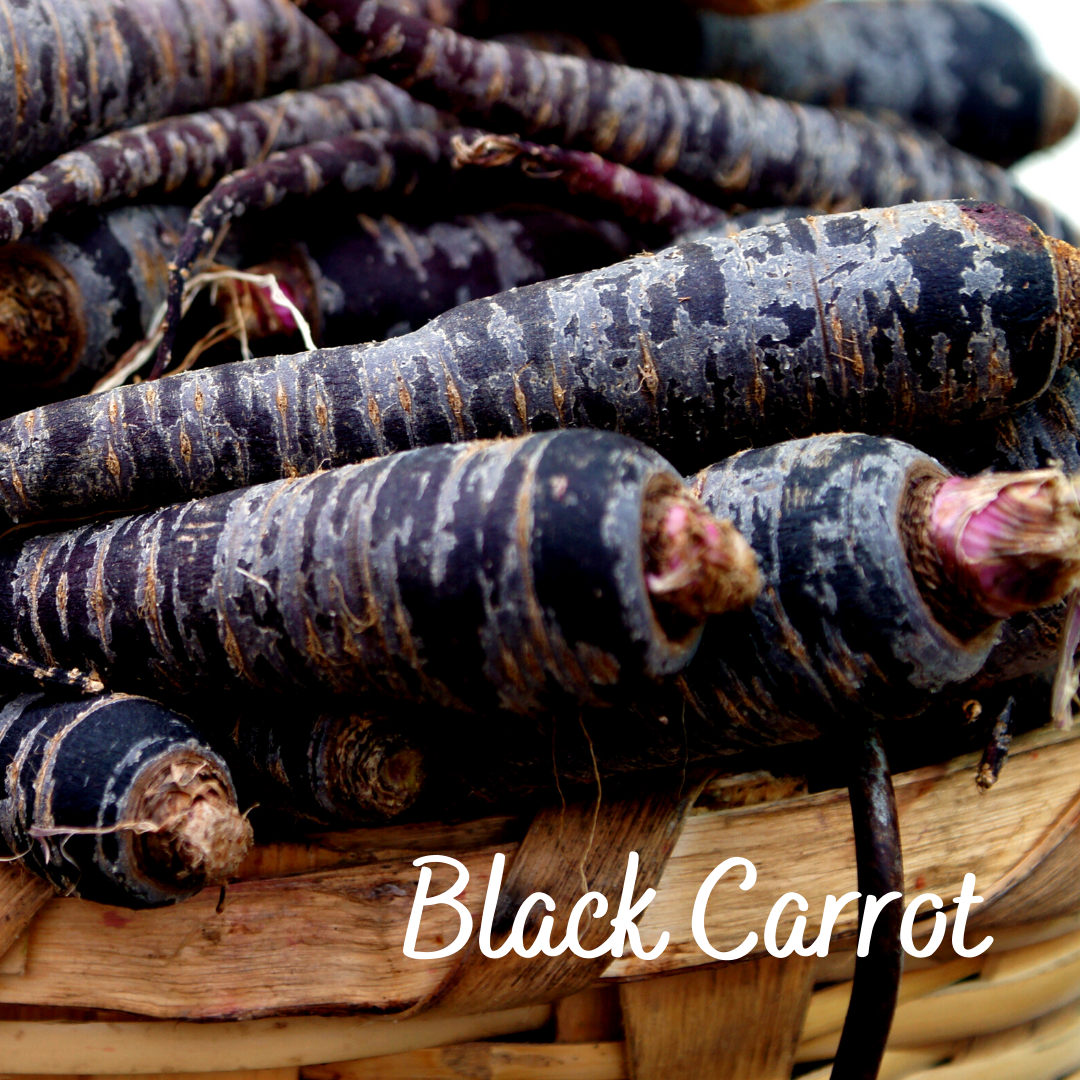 Black Carrot Vegetable Seeds