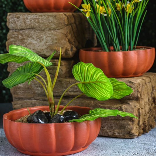 Inverted Dome Terracotta Planters (Set of 3)