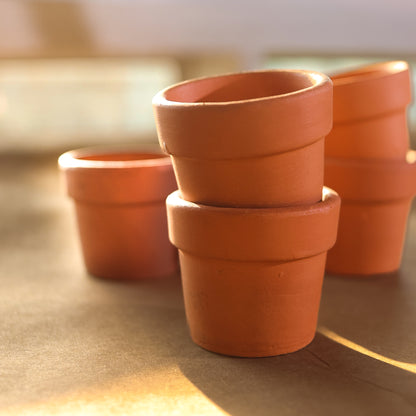 Miniature Seedling Terracotta Pots (Set of 12)