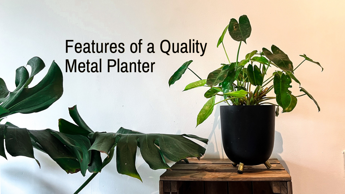WHAT SHOULD YOU LOOK FOR IN A METAL PLANTER?