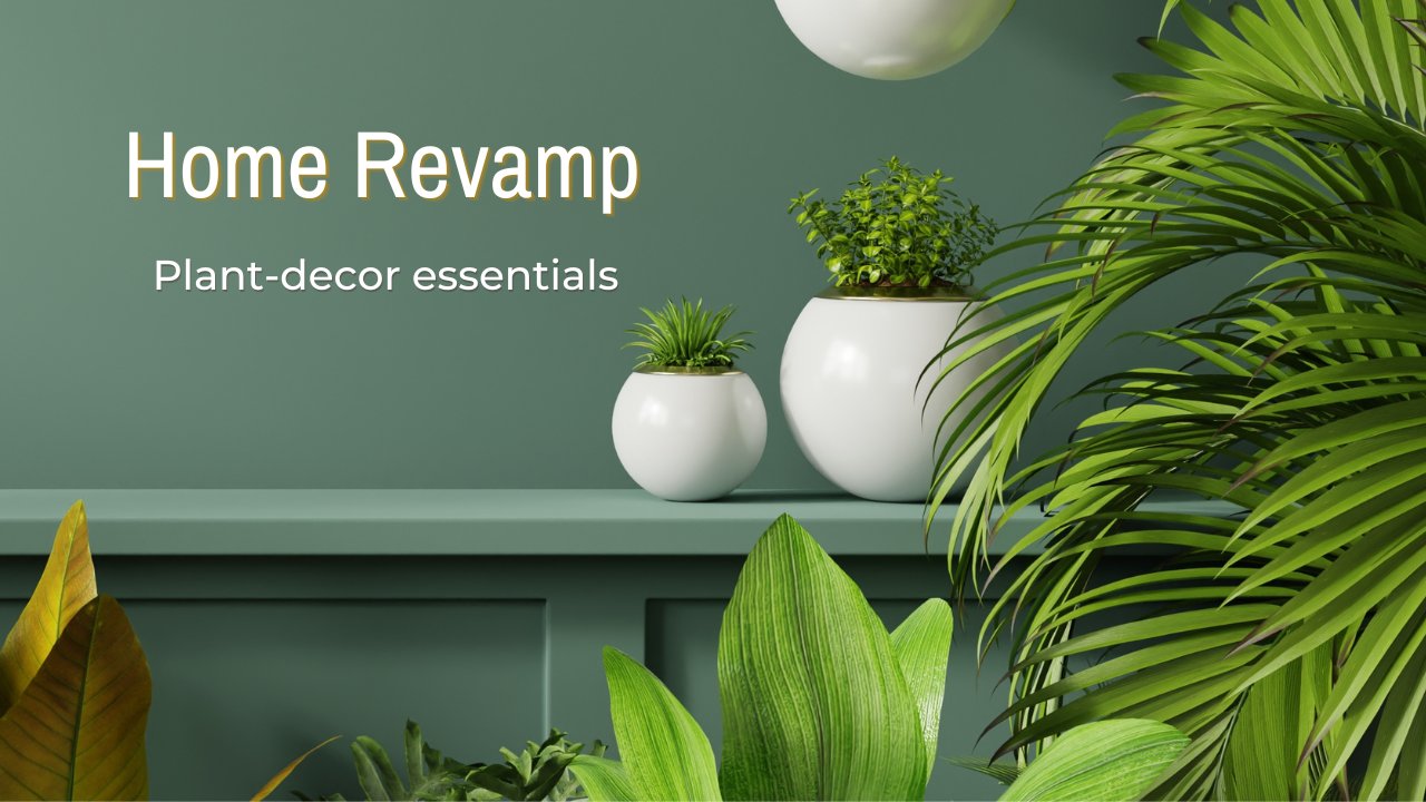 REVAMP YOUR HOME WITH OUR CURATED HOME DECOR – Garden Up Store