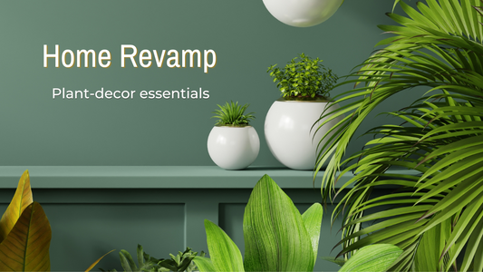 REVAMP YOUR HOME WITH OUR CURATED HOME DECOR