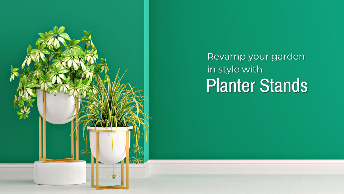 NOTICED THOSE SLEEK PLANTER STANDS? THIS IS WHY WE NEED THEM.
