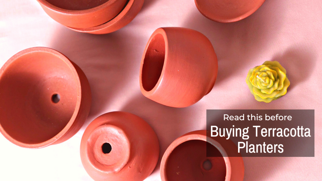 THINGS TO KEEP IN MIND WHILE PURCHASING YOUR NEXT TERRACOTTA PLANTER