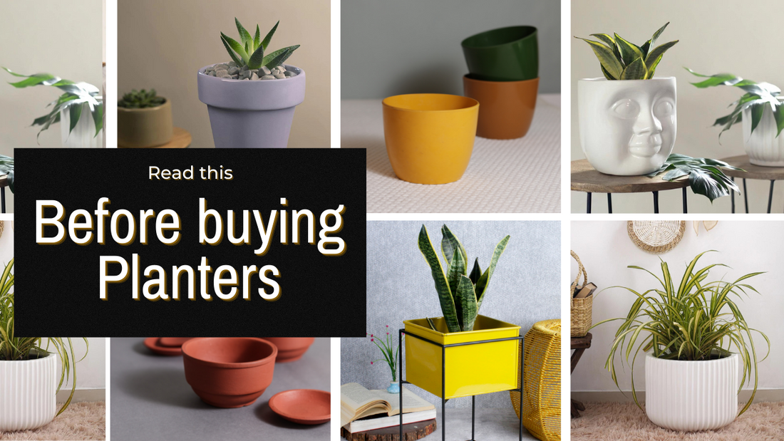 THREE THINGS TO CONSIDER BEFORE BUYING A POT OR PLANTER