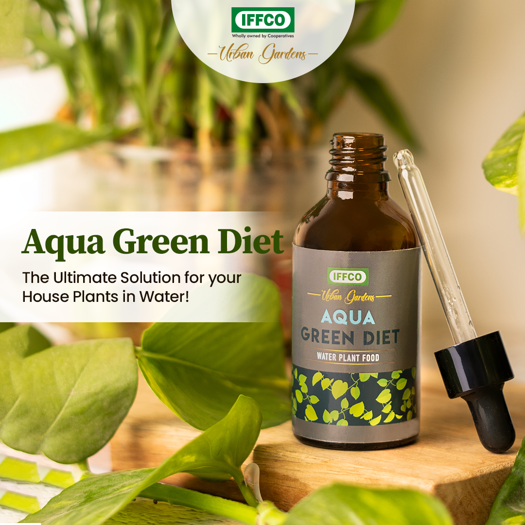 Aqua Green Diet