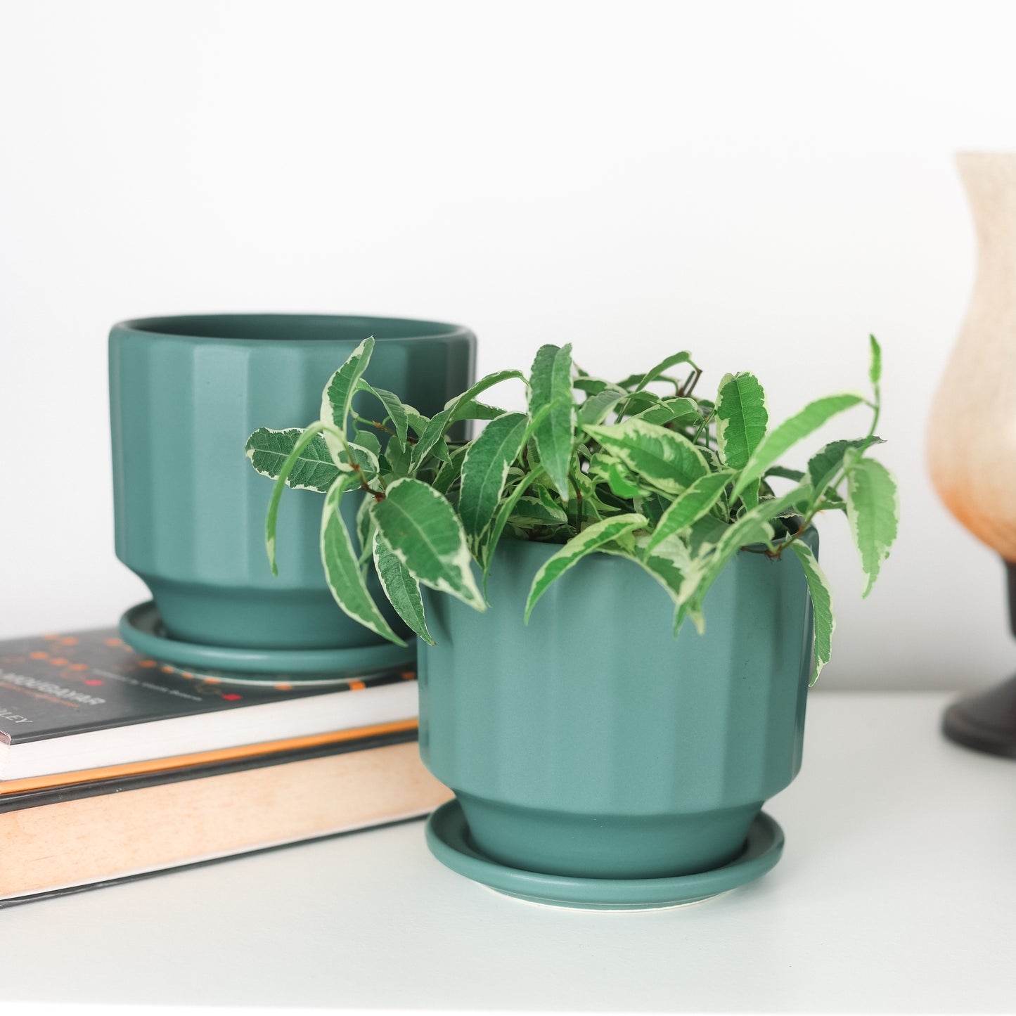 Pallet Green 5.5" Ceramic Pot