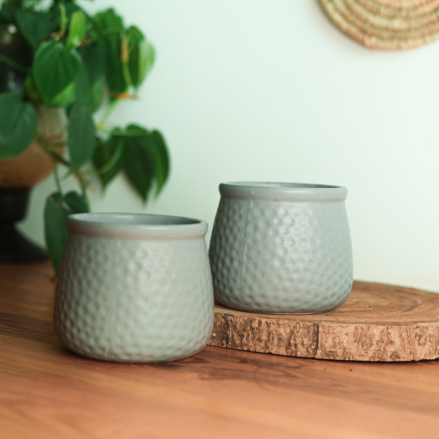 Bell Grey 4" Ceramic Pot