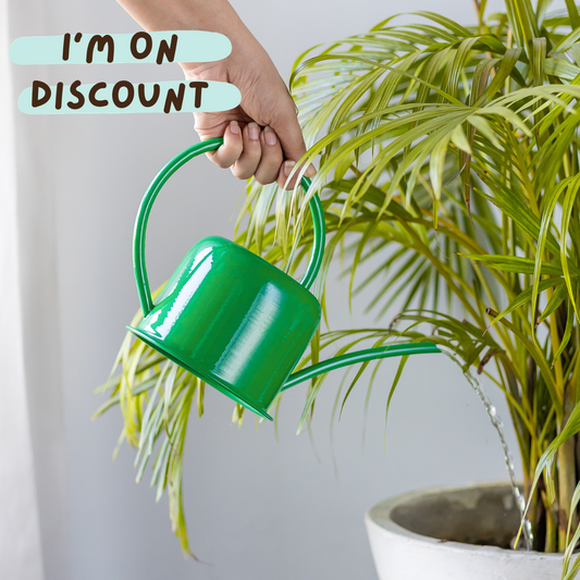 Unloved Green Watering Can (1 ltr)