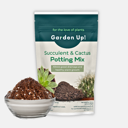 Succulent & Cactus Potting Mix
