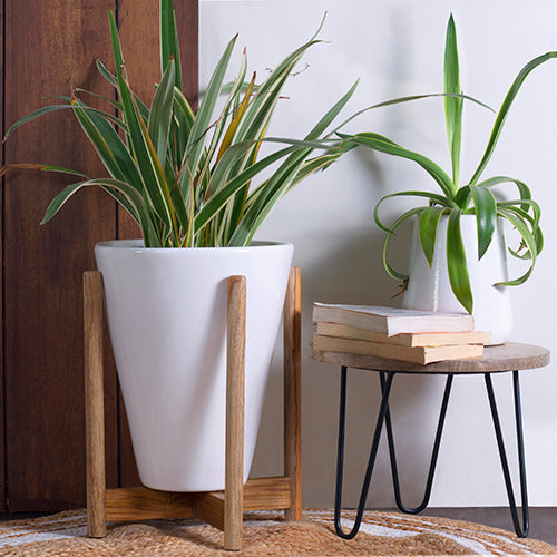 Tapered Planter with stand (White)