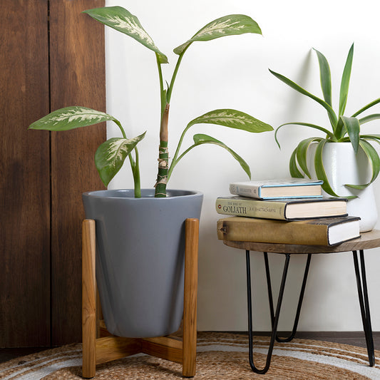 Tapered Planter with stand (Grey)