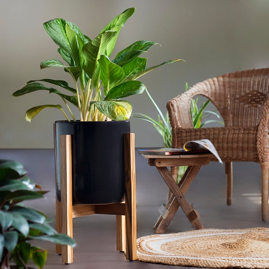 Mid-century Planter with Stand