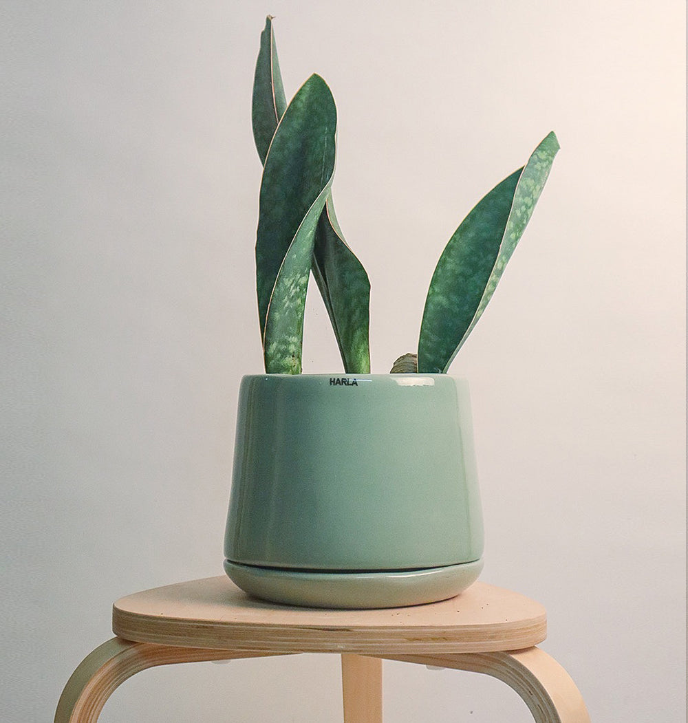 Aqua Green Porcelain Planter with Drainage Plate
