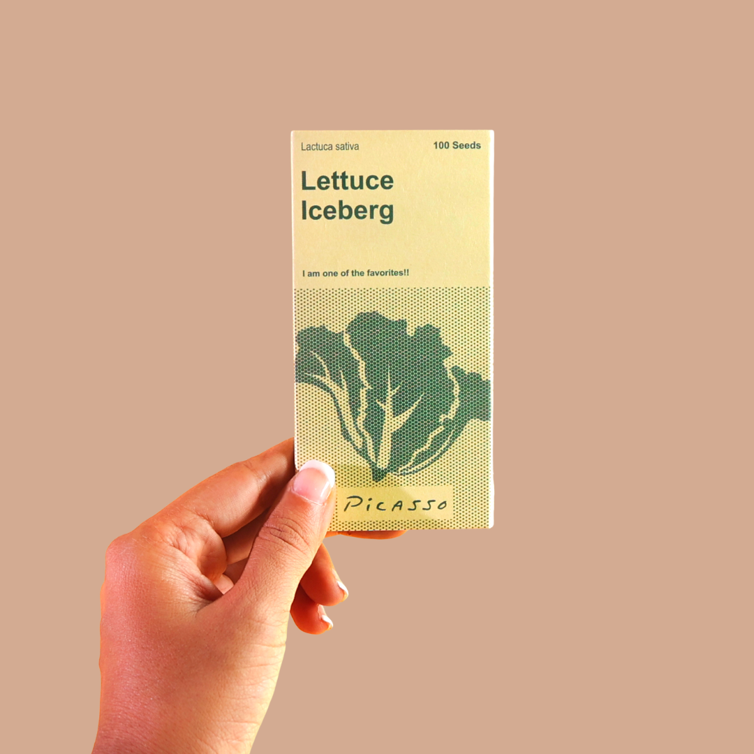 Lettuce Iceberg Vegetable Seeds