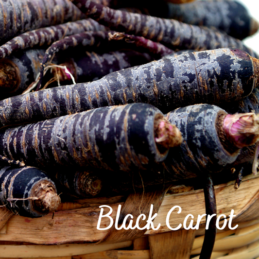 Black Carrot Vegetable Seeds
