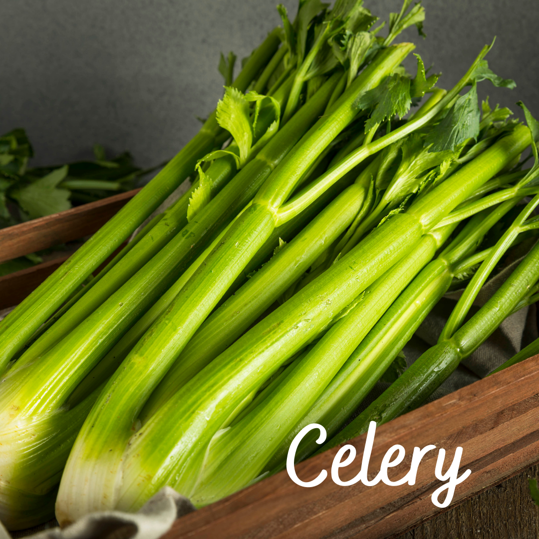 Celery Vegetable Seeds