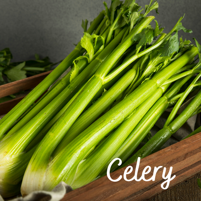 Thyme, Celery, Parsley (Set of 3)