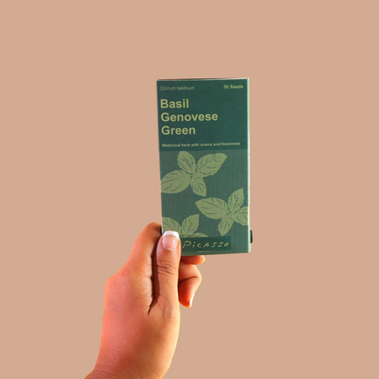 Green Basil Herb Seeds