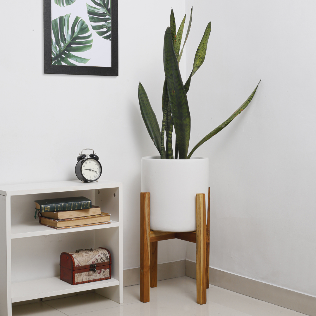 Mid-century Planter with Stand