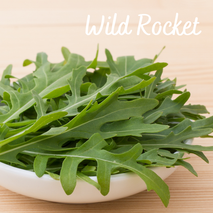 Wild Rocket Vegetable Seeds
