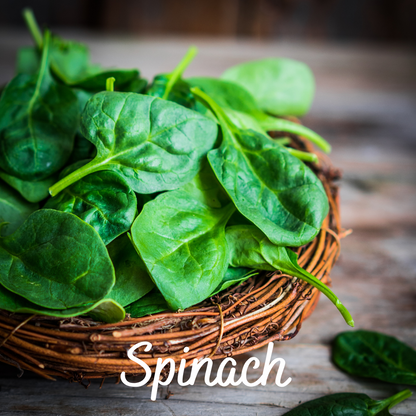 Spinach Vegetable Seeds