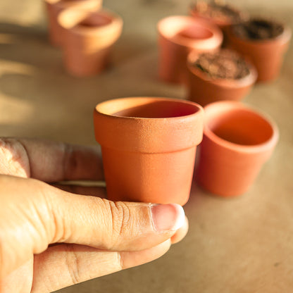 Miniature Terracotta Pots (Set of 12)
