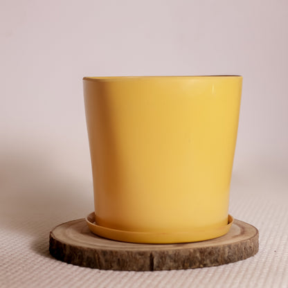 Colorful Rubber Pot 8" (Yellow)