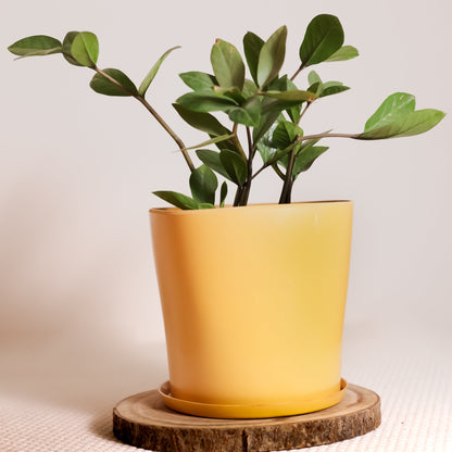 Colorful Rubber Pot 8" (Yellow)