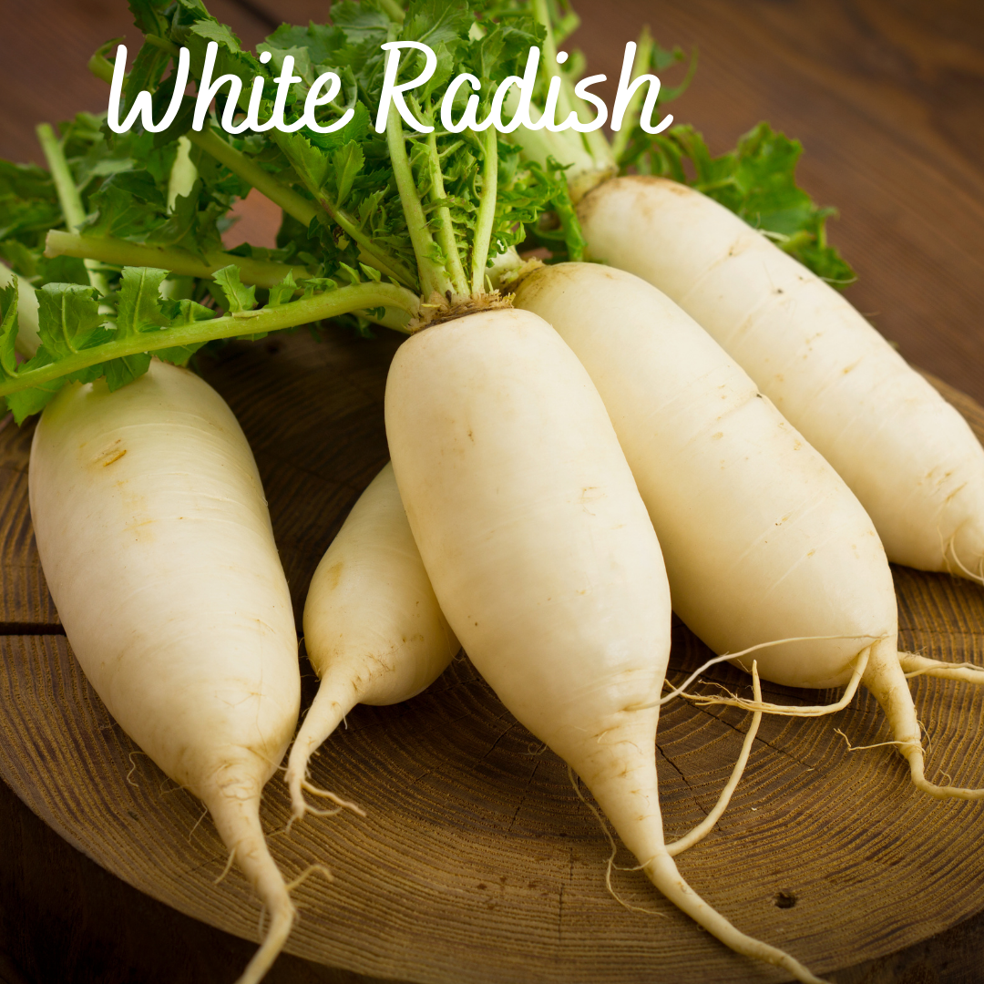 White Radish Vegetable Seeds