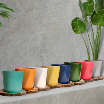 Colorful Rubber Pot 8" (Green)
