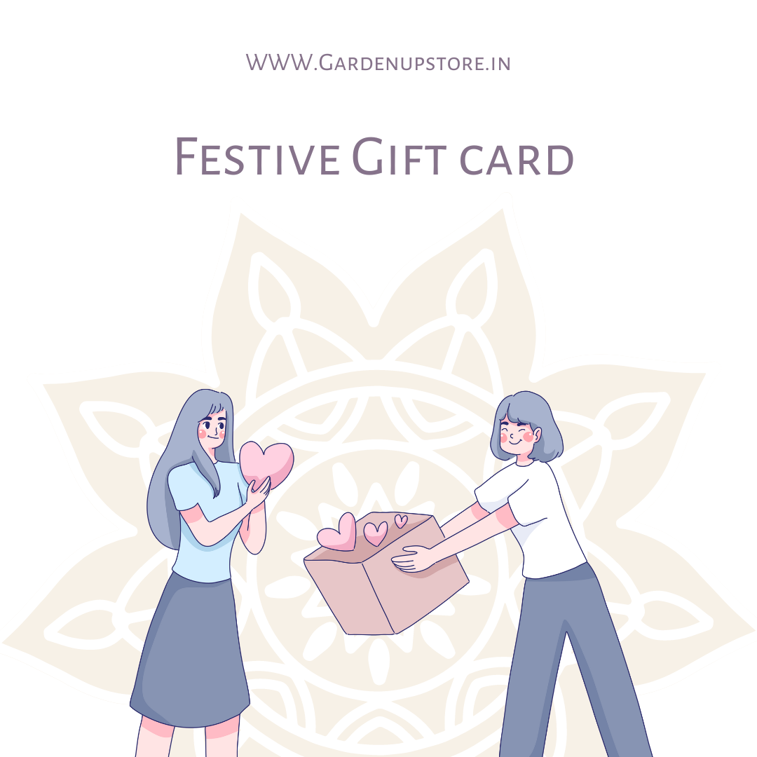 Festival Gift Card