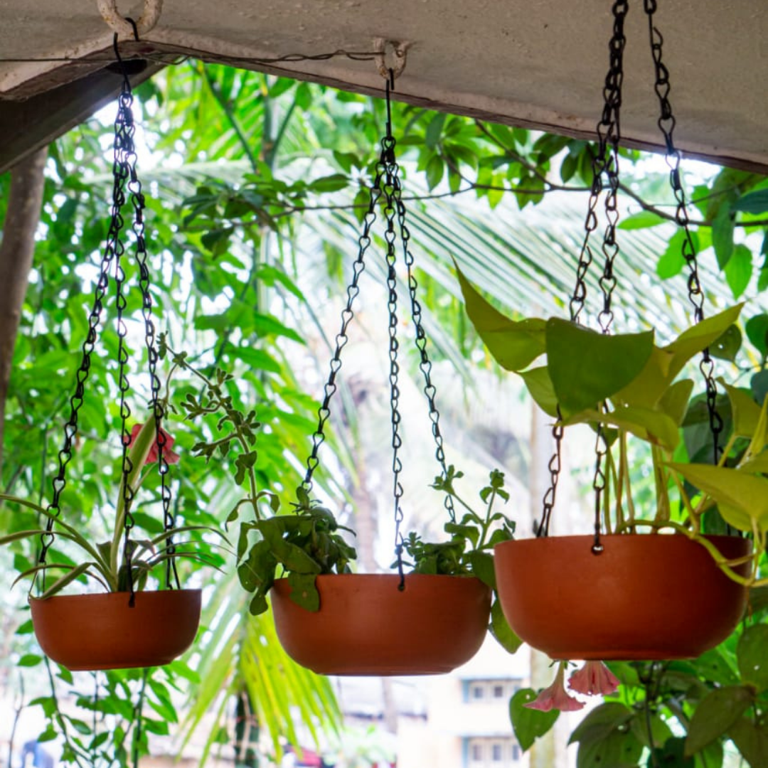 Hanging Terracotta Bowl Planters