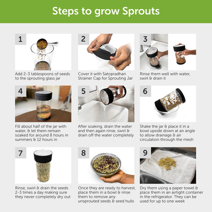 Sprout In A Jar (DIY Kit)