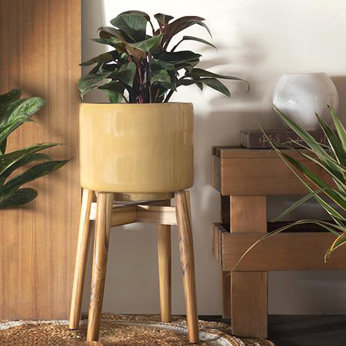 Minimal Style Planter with Stand (Sandal)