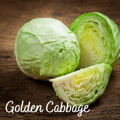 Golden Cabbage Vegetable Seeds