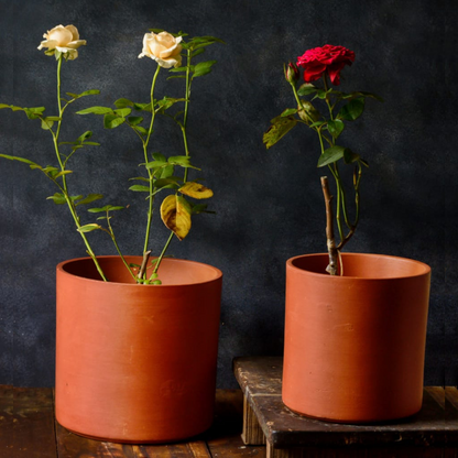 Patina Passion Terracotta Planters (Set of 2)