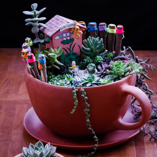 Giant Terracotta Cup Saucer Planter